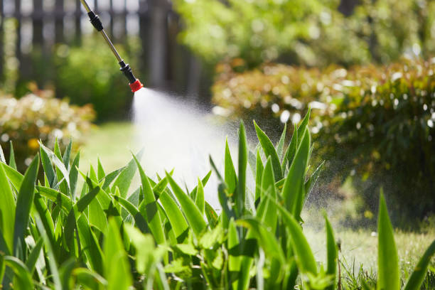 24/7 Emergency Wasp Removal experts in Port LaBelle, FL