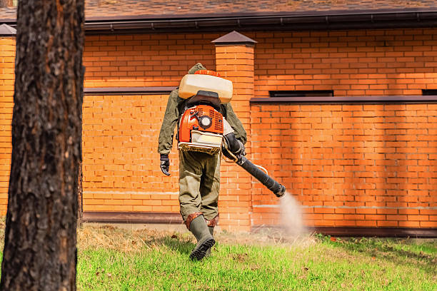 Top rated local Wasp Removal specialists in Port LaBelle, FL